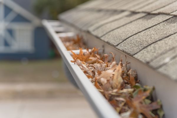 Leaf Barrier Installation in Norfolk